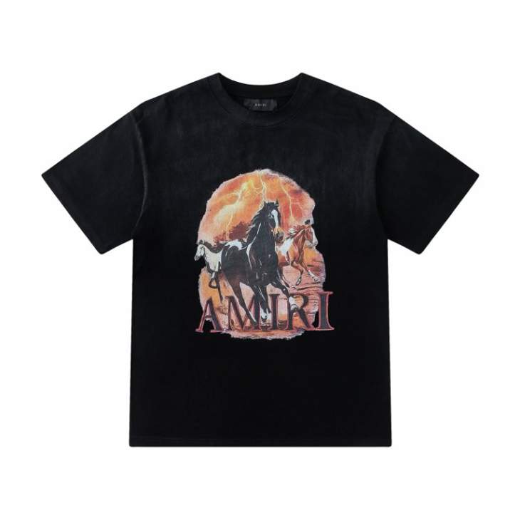 Picture of Amiri T Shirts Short _SKUAmiriS-XL19stx808223793